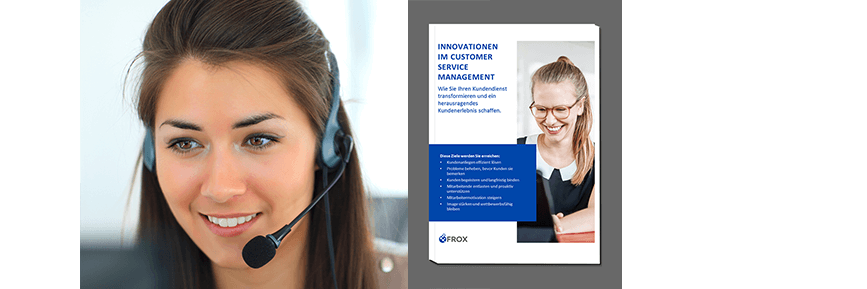 E-Book Innovationen im Customer Service Management FROX AG